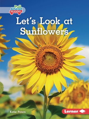cover image of Let's Look at Sunflowers